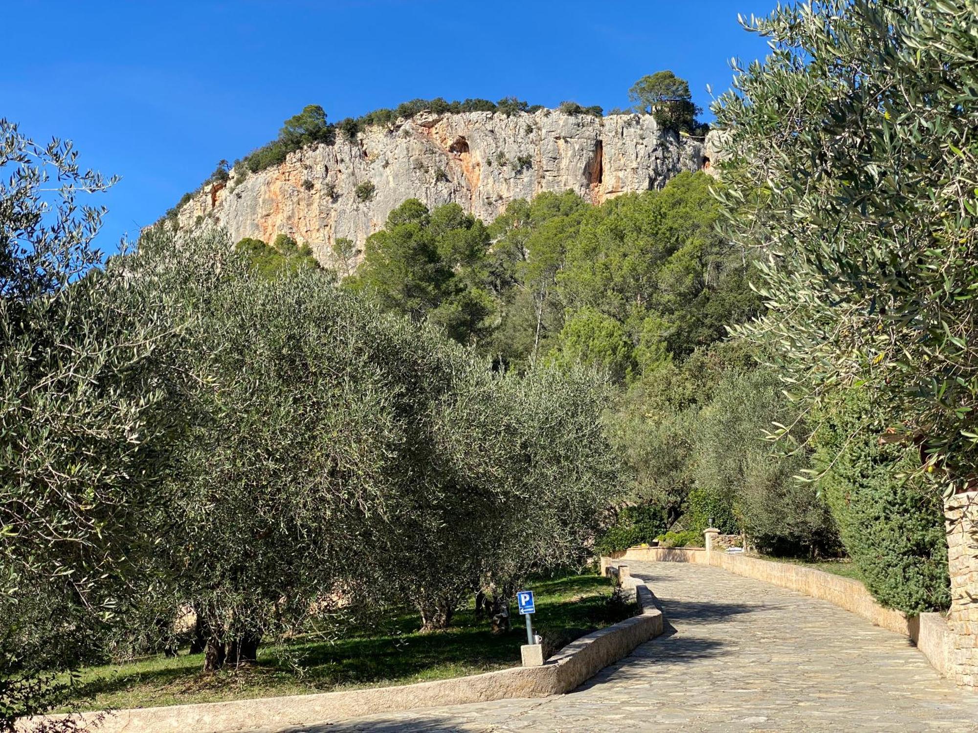 Le Mas De San Lou Cabasse Εξωτερικό φωτογραφία